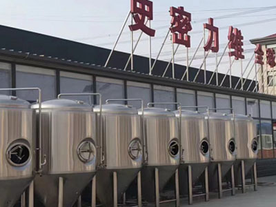龙湾精酿啤酒设备厂—如何判断精酿啤酒设备的密封件需要更换？